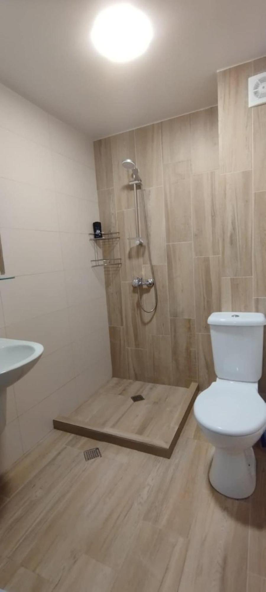 Oasis Window Development باكورياني